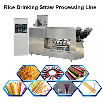 Stainless Steel Full Automatic Degradable Straw Machine Rice Straw Machine in Vn