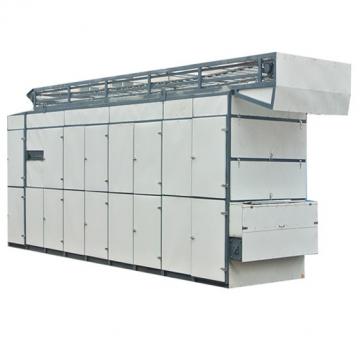 Large Capacity Continuous Hot Air Conveyor Mesh Belt Sawdust Dryer