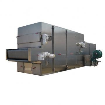 Large Capacity Mesh Belt Dryer for Dried Fruit Processing